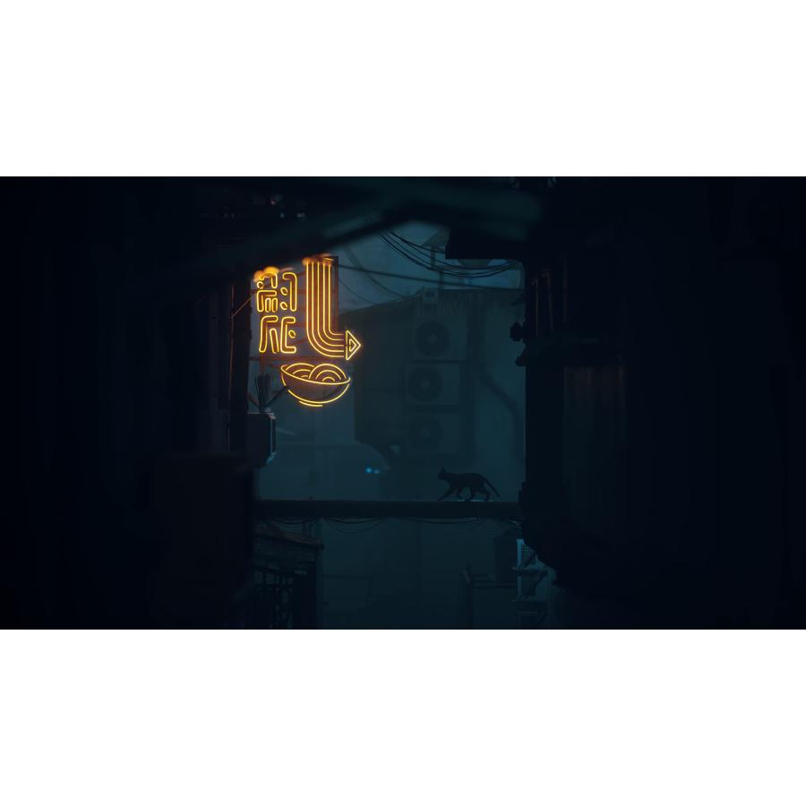 PlayStation4 - どらさん専用 Amazon.co.jp: Stray(ストレイ