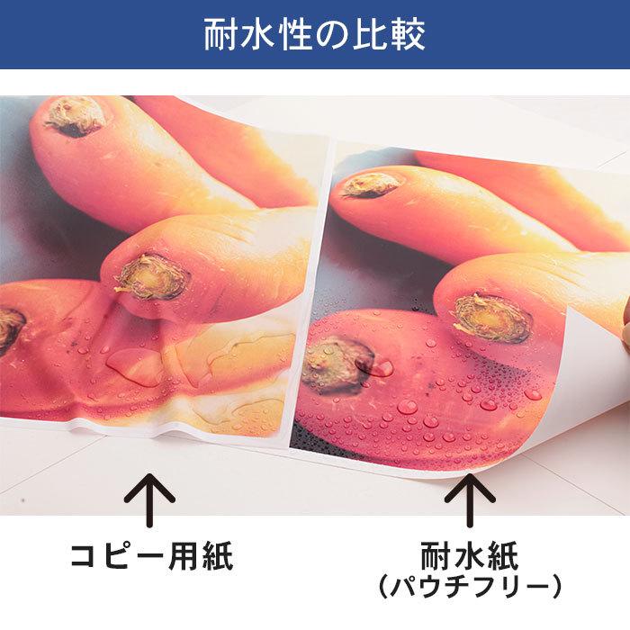 合成紙 耐水紙 パウチフリー PETタイプ B4サイズ (150μ) 100枚 |  | 06