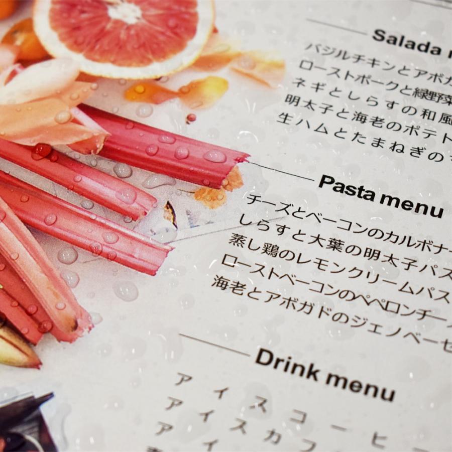 レーザーピーチ 耐水紙 WEFY-120 A4(100) 100枚 両面印刷対応 |  | 03