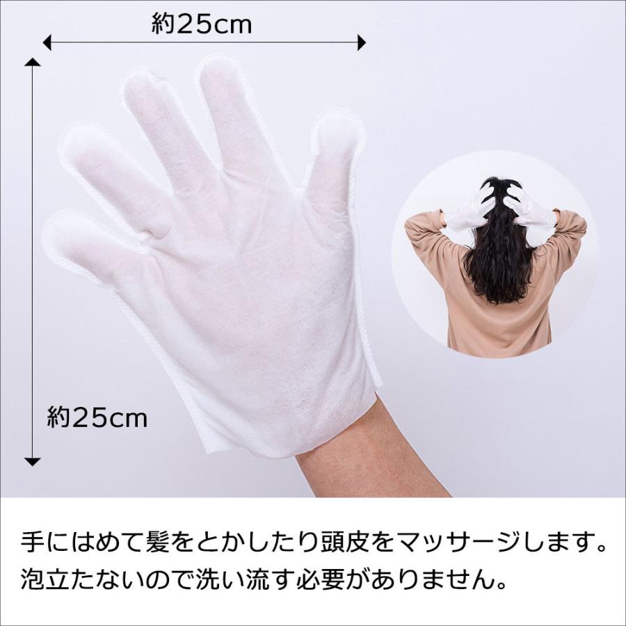 水のいらない泡なしシャンプー ウェット手袋 2枚入り | SKK | 01