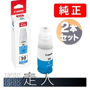 CANON キャノン 純正品 3397C001 インクボトル GI-30C シアン 2個セット 純正インク | キヤノン