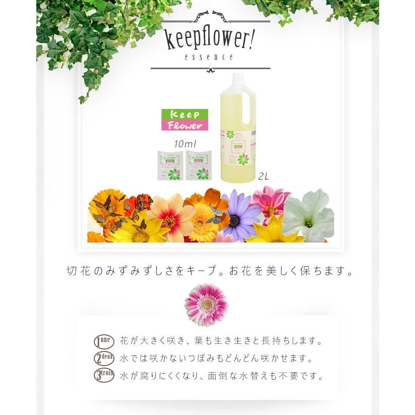 切花栄養剤/切花延命剤/フラワーサプリメント キープフラワー 2L×3本セット |  | 01