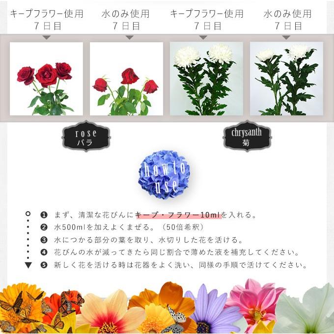 切花栄養剤/切花延命剤/フラワーサプリメント キープフラワー 2L×１本 |  | 02