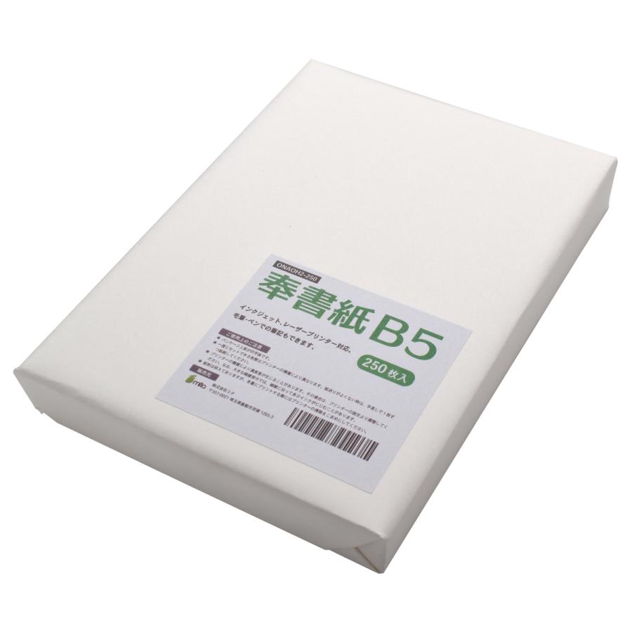 和紙 コピー用紙 奉書紙 甲斐 白 B5 250枚入 レーザープリンター