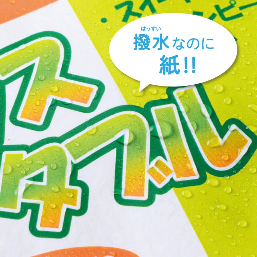 ヒサゴ 撥水紙ラベル A4 12面 ラベルシール OPW3036 | ヒサゴ | 02
