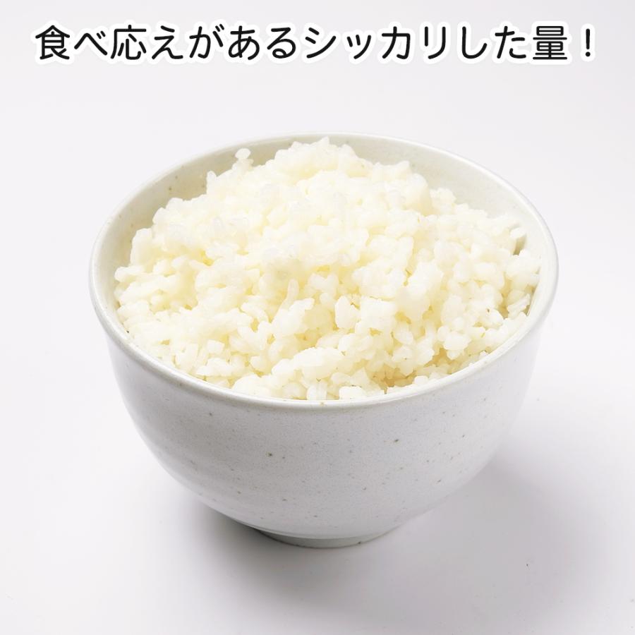 (白飯/1食) サタケ マジックライス | マジックライス | 02