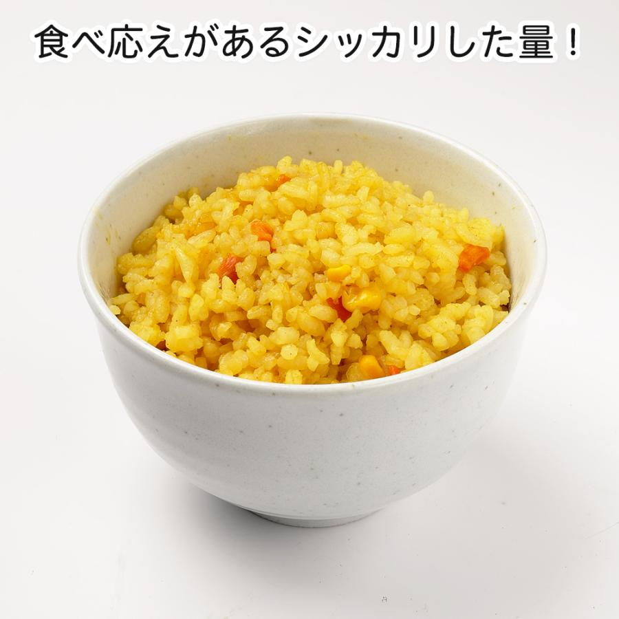 (ドライカレー/4食) サタケ マジックライス | マジックライス | 02
