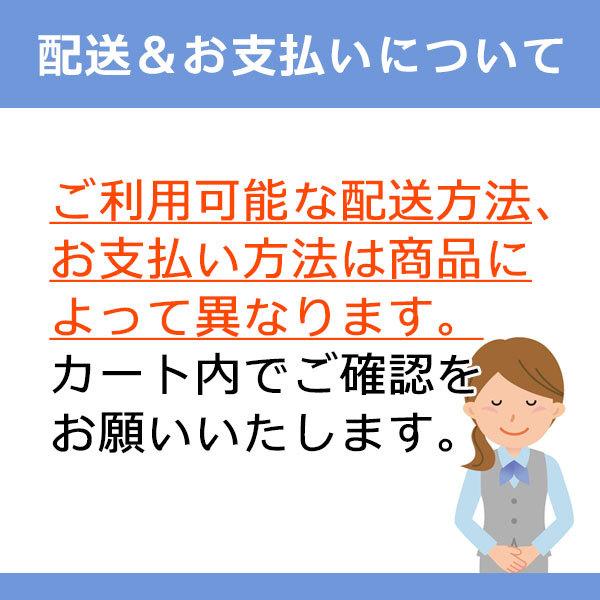 お手軽に食べられる個包装タイプ 登山の行動食/携行食/災害時の非常食としても! 狭山茶 紅茶ようかん (17g×8個) |  | 06