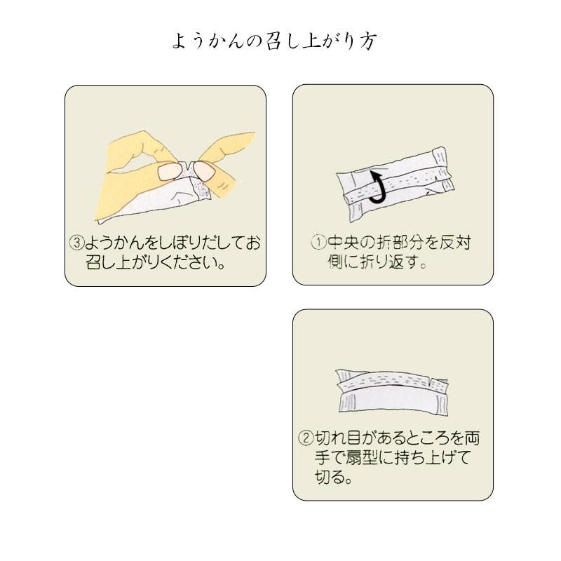 お手軽に食べられる個包装タイプ 登山の行動食/携行食/災害時の非常食としても! いちごようかん (17g×8個) |  | 02