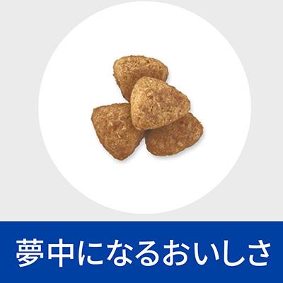 ヒルズ プリスクリプションダイエット 犬用 メタボリックス 小粒 ドライ 1kg ▼b ペット フード 犬 ドッグ 特別療法食 減量 体重管理 低カロリー | ヒルズ | 06