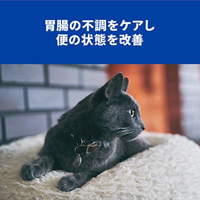 ヒルズ プリスクリプションダイエット 猫用 i/d 消化ケア チキン 500g×2袋 ▼b ペット フード キャット 療法食 ドライ 送料込｜runpet｜05