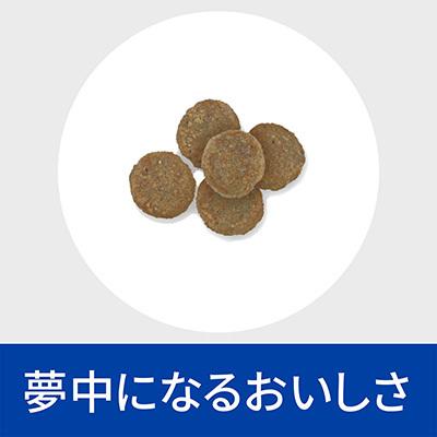 ヒルズ プリスクリプションダイエット 犬用 z/d 食物アレルギー＆皮膚 