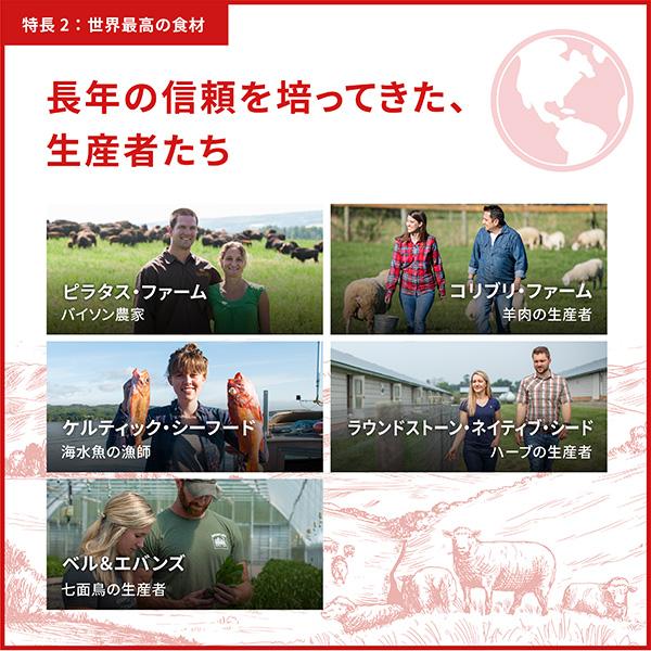 ORIJEN（オリジン） オリジナル 2kg×2袋 チャンピオンペットフーズ ▽t