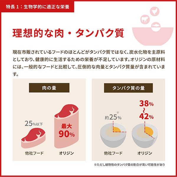オリジン レジオナルレッド キャット 5.4kg×2袋 チャンピオンペットフーズ ▽t ペット フード 猫 キャット ドライ 送料無料【正規品】の画像