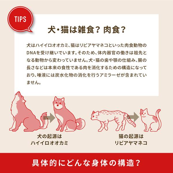 ※シナモン※ アカナ　レッドミートレシピ　11.4キロ　2袋 並行輸入品】 アカナ クラシック レッドミートレシピ 全犬種 全年齢用
