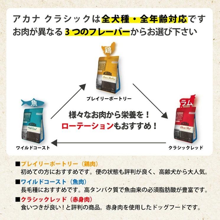 70％OFFアウトレット RunPet ランペットオリジン レジオナルレッド