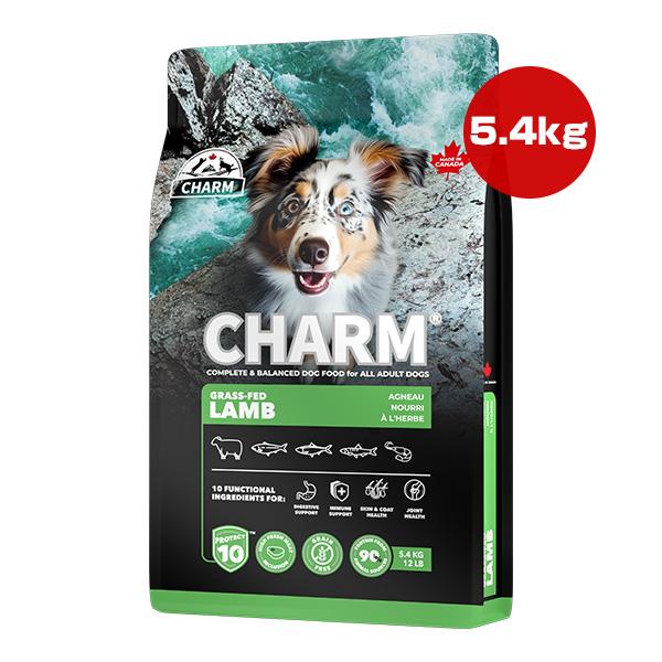 チャーム（charm） プロテクトテン グラス フェッド ラム ドッグ 5.4kg 