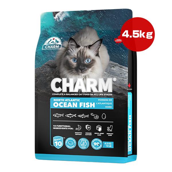 チャーム（charm） プロテクトテン ノース アトランティック