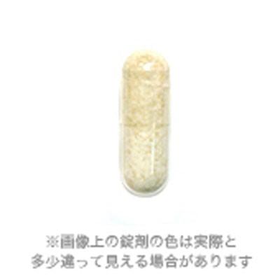 共立製薬 マイトマックス・スーパー 小型犬・猫用 120カプセル ▽b