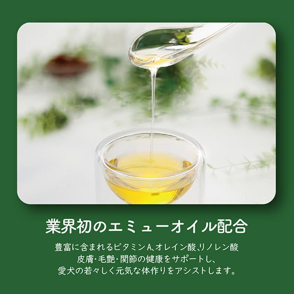 ネイチャーズテイスト（NATURE's TASTE） グロースサポート ラム