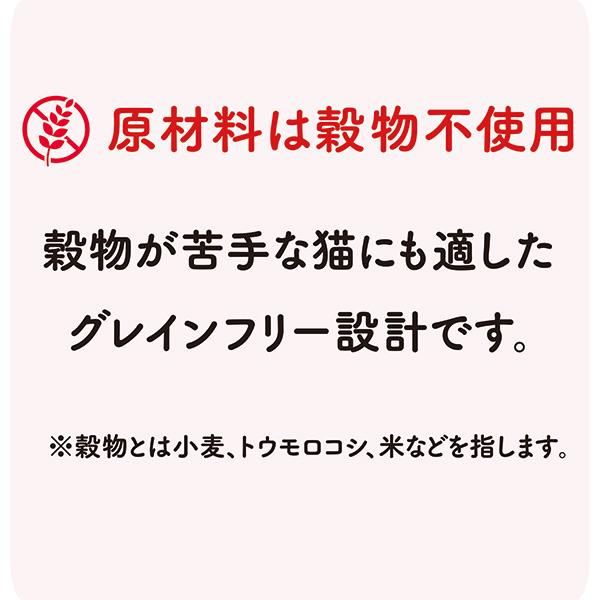 黒缶 離乳〜12ヶ月頃までの子ねこ用 まぐろとかつお ペーストタイプ 60g アイシア ▼a ペット フード 猫 キャット パウチ ウェット 離乳食 AIXIA｜runpet｜07