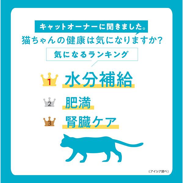 アイシア（AIXIA） iCARE 水分補給 まぐろペースト 35g×24個 ▽a
