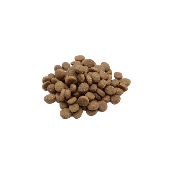 VetSolution ベッツソリューション 犬用 皮膚サポート 800g ジャパン