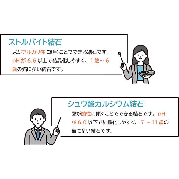 ネコノスナPRO 2.5L×4箱 小川産業 ▼g ペット グッズ 猫 キャット 猫砂 トイレ 消臭 抗菌 燃やせる 流せる 健康チェック 送料無料の画像