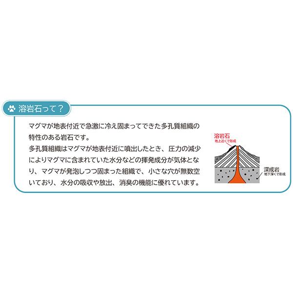 ネコノスナＳ 5L×4袋 小川産業 ▼g ペット グッズ 猫 キャット 猫砂 トイレ 消臭 抗菌 吸水 燃やせる 流せる 健康チェック 送料無料の画像