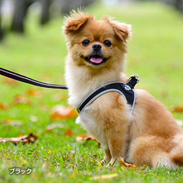 フィッビア リフレクティブ 1.5 スカイブルー ▼g ペット グッズ 犬 ドッグ アクセサリー ハーネス 胴輪 TRE PONTI LTP110 送料無料 | TRE PONTI | 02