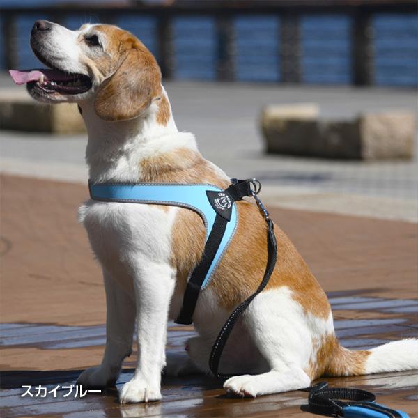 フィッビア アジャスタブル リフレクティブ 1.5 スカイブルー ▼g ペット グッズ 犬 ドッグ アクセサリー ハーネス 胴輪 TRE PONTI LTP120 送料無料 | TRE PONTI | 02