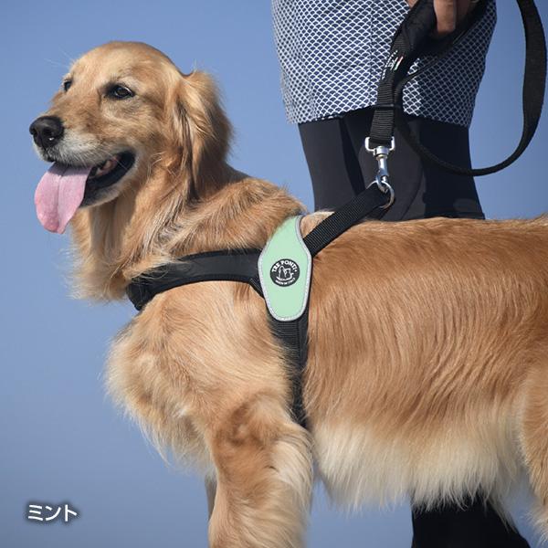 プリモ リフレクティブ XXL スカイブルー ▼g ペット グッズ 犬 ドッグ アクセサリー ハーネス 胴輪 TRE PONTI LTP200 送料無料 | TRE PONTI | 02