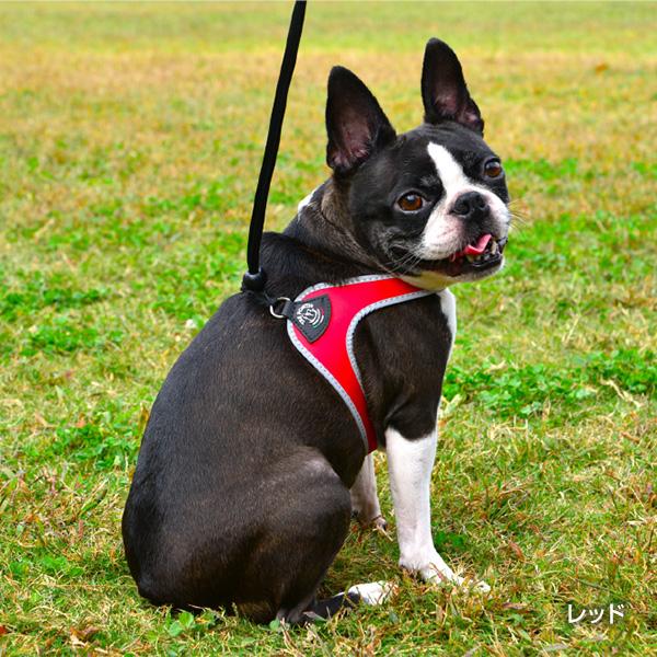 リベルタ リフレクティブ 2.5 スカイブルー ▼g ペット グッズ 犬 ドッグ アクセサリー ハーネスリード 胴輪 引き紐 TRE PONTI LTP100 送料無料 | TRE PONTI | 02