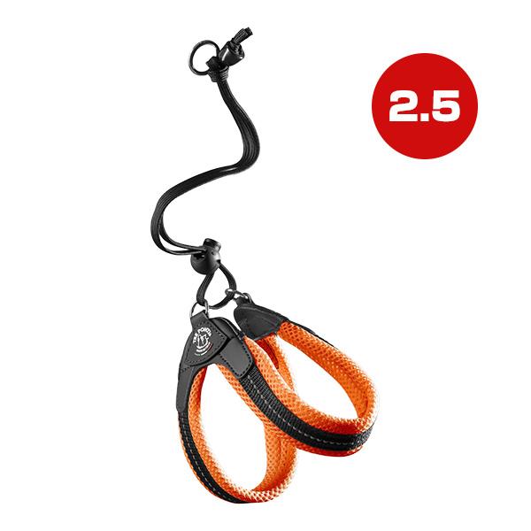 リベルタ ソフトメッシュ 2.5 オレンジ ▼g ペット グッズ 犬 ドッグ アクセサリー ハーネスリード 胴輪 引き紐 TRE PONTI LTP103 送料無料 | TRE PONTI