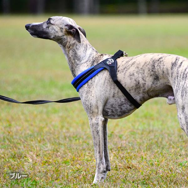 フィッビア アジャスタブル ソフトメッシュ 4 ブルー ▼g ペット グッズ 犬 ドッグ アクセサリー ハーネス 胴輪 TRE PONTI LTP123 送料無料 | TRE PONTI | 02