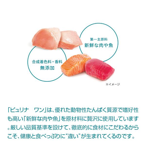 ピュリナワン ピュリナ ワン キャット 美味を求める成猫用 1歳以上