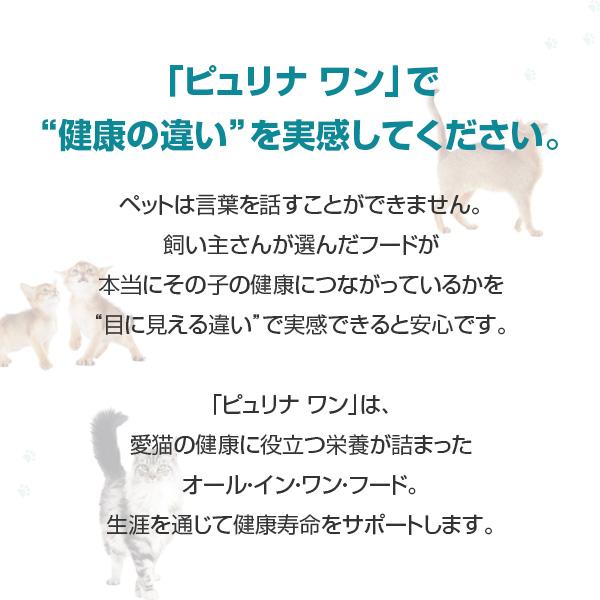 ピュリナ ワン キャット 下部尿路の健康維持 F.L.U.T.H.ケア １歳以上 サーモン＆ツナ 2kg×2袋 ネスレ日本 ▼a ペット フード 猫 キャット PURINA｜runpet｜02