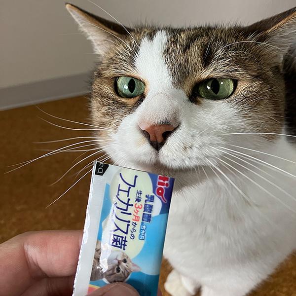 Petio 乳酸菌のちから 生後3ヶ月からのフェカリス菌 まぐろ 5g