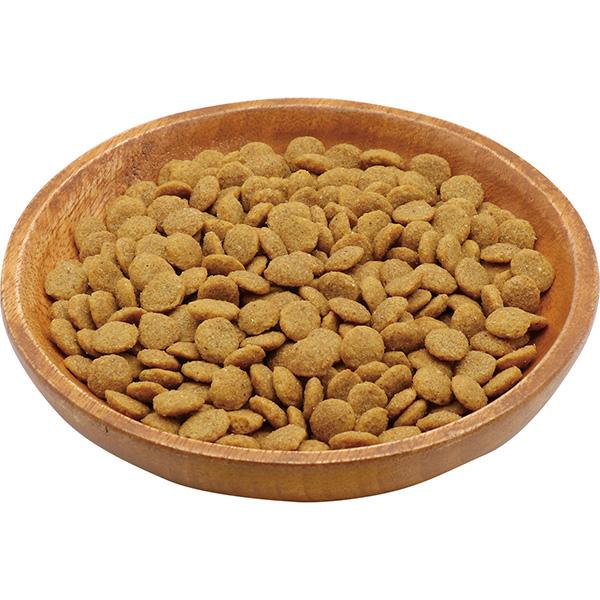 Petio（ペティオ） プラクト カツオ味 80g ▽a ペット フード 猫