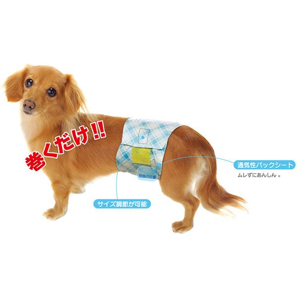 第一衛材 男の子のためのマナーおむつ おしっこ用 中型犬 13枚入 ▽a