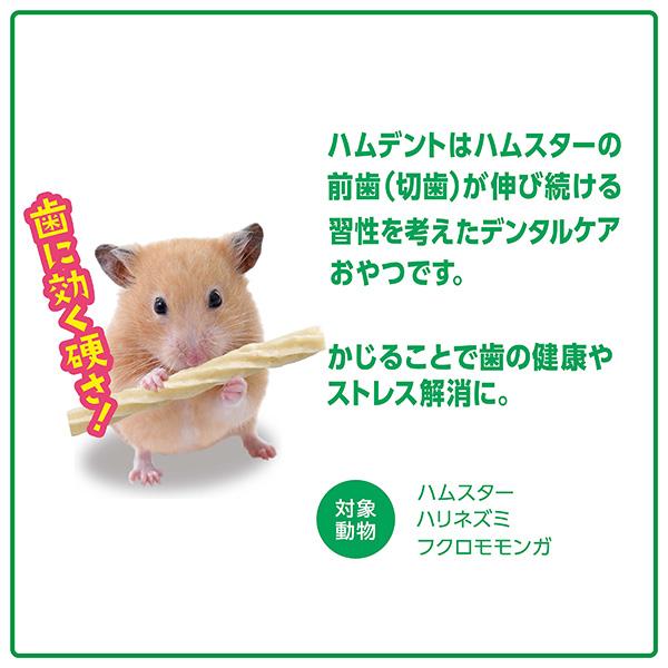 GEX ハムデント りんご&にんじん味 12g ジェックス ▽a ペット GEX ハムデント りんご&にんじん味 12g ジェックス ▽a ペット