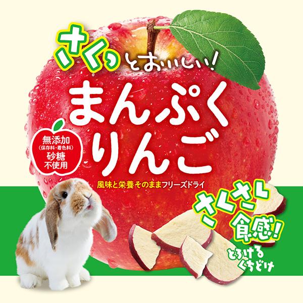 GEX（ジェックス） さくっとまんぷくりんご フリーズドライ 45g ▽a