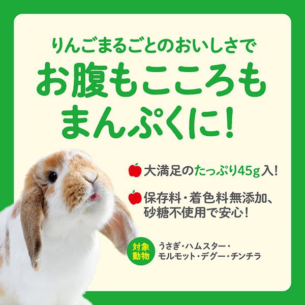 もり雪さん専用出品です　食用ほおずき トマチロ・コサックパイナップル　4kg GEX（ジェックス） さくっとまんぷくりんご フリーズドライ 45g ▽a