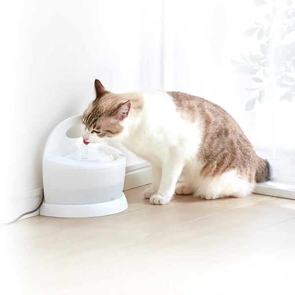 ピュアクリスタル フィット 900mL ホワイト ジェックス ▽a ピュアクリスタル フィット 900mL ホワイト ジェックス ▽a