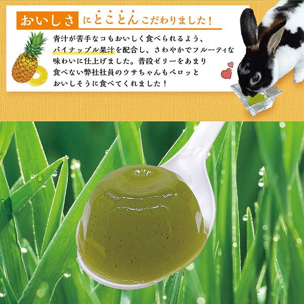 ドギーマン 小動物の青汁ゼリー パイナップル果汁入り 16g×6個 ドギーマン 小動物の青汁ゼリー パイナップル果汁入り 16g×6個