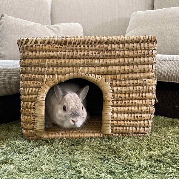 手編みのナチュハウス ビッグスクエア ドギーマンハヤシ ▼a ペット グッズ 小動物 ウサギ モルモット チンチラ ハリネズミ 天然草使用 リラックス ハンドメイド｜runpet｜06