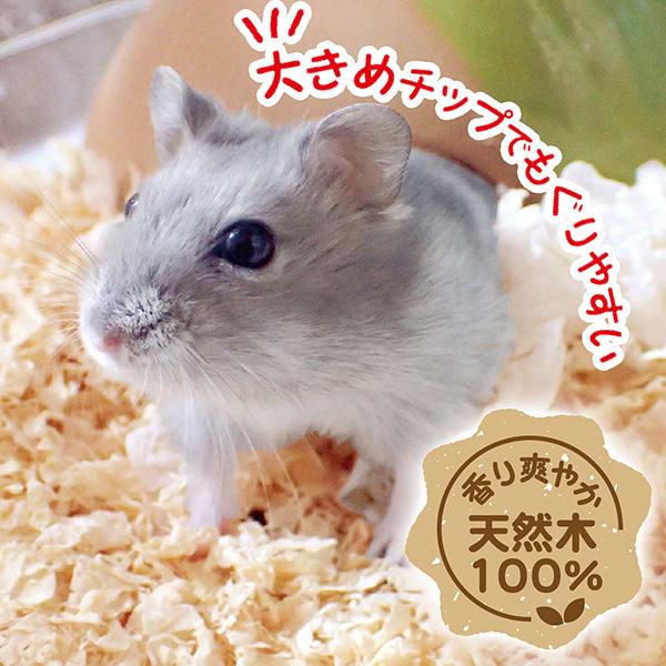 快適 やわらかベッド 約12L ドギーマンハヤシ ▼a ペット グッズ 小動物 ウサギ モルモット ハムスター ベッド 天然木 ミニアニマン｜runpet｜03