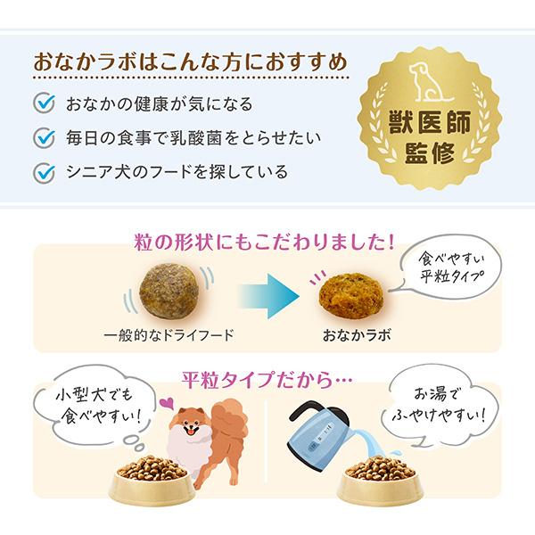 森乳サンワールド おなかラボ 成犬用 800g×2袋 ▽a ペット フード 犬