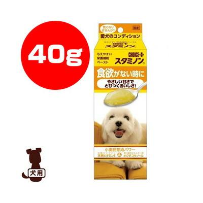 チョイスプラス スタミノン 食欲がない時に 40g アースペット A ペット フード 犬 ドッグ 栄養補給 Runpet ランペット 通販 Yahoo ショッピング