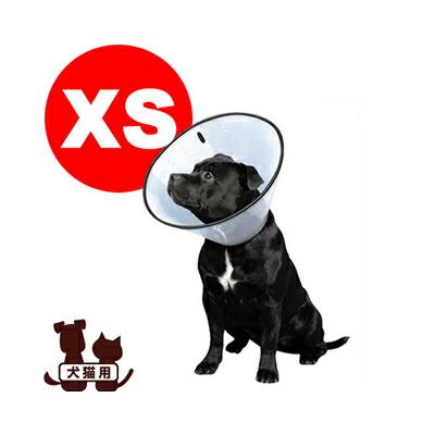 for pets only 新品スペシャルオーダー カラー25cm＆リード限定品 for pets only 新品スペシャルオーダー カラー25cm＆リード限定品